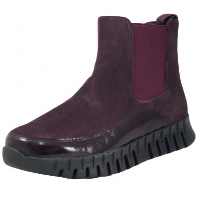 Pie Santo 255695 - Botin...